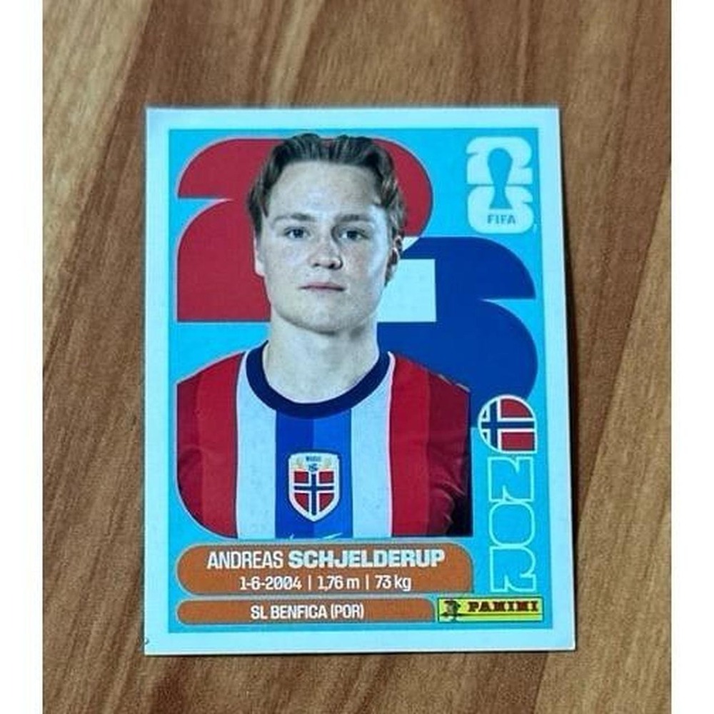 Panini World Cup 2026 Norway Sticker